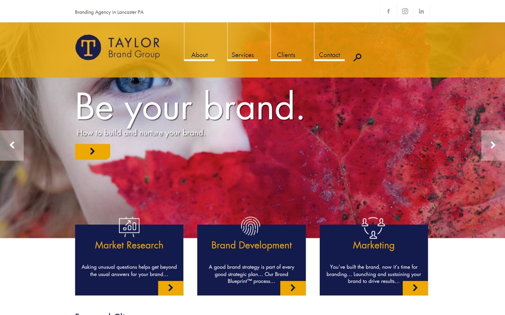 img of B2B Digital Marketing Agency - Taylor Brand Group